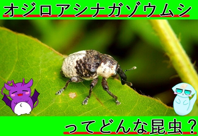 Thumbnail of post image 056